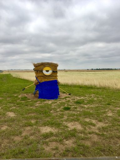 Yeah I reenacted Gru/Minion conversations for a while