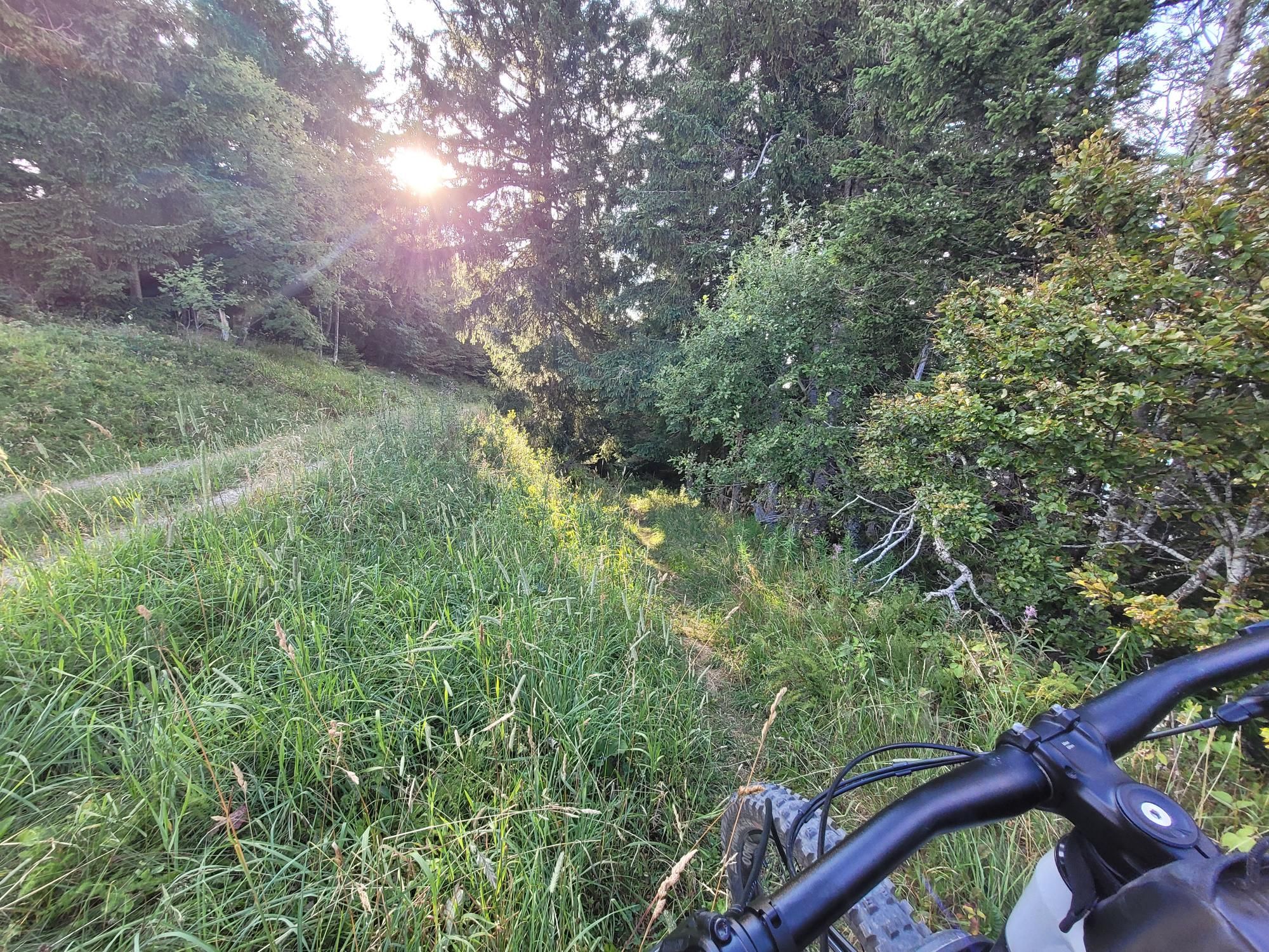 Activity photo
