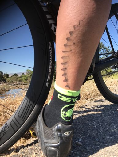 Rookie Mark while stopping to take photos