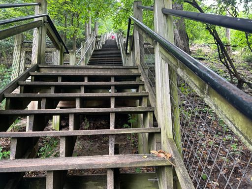 302 steps.  This is a very efficient gradient to gain altitude: one-at-a-time works well going up, while going down it's not possible to do two without crashing, so quick turnover is helpful.  Sticky warm. 
https://www.saugatuckcity.com/mt-baldhead-park.html