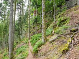 Autour de Pierre Percée