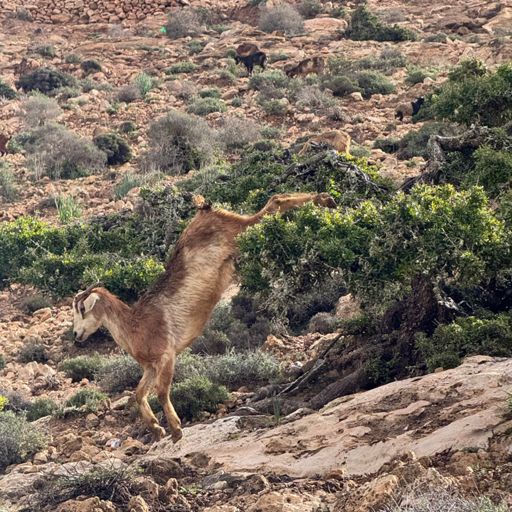 Late start today as it chucked it down the whole night and flooded my room! Had to put towels down to stop the rain coming in and it was still foul in the morning so stayed in bed  for a bit and red my book.(I mean it is supposed to be a holiday, right)😎

