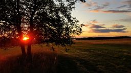 Petite balade vespérale