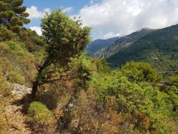 Rando famille entre Peille et Peillon