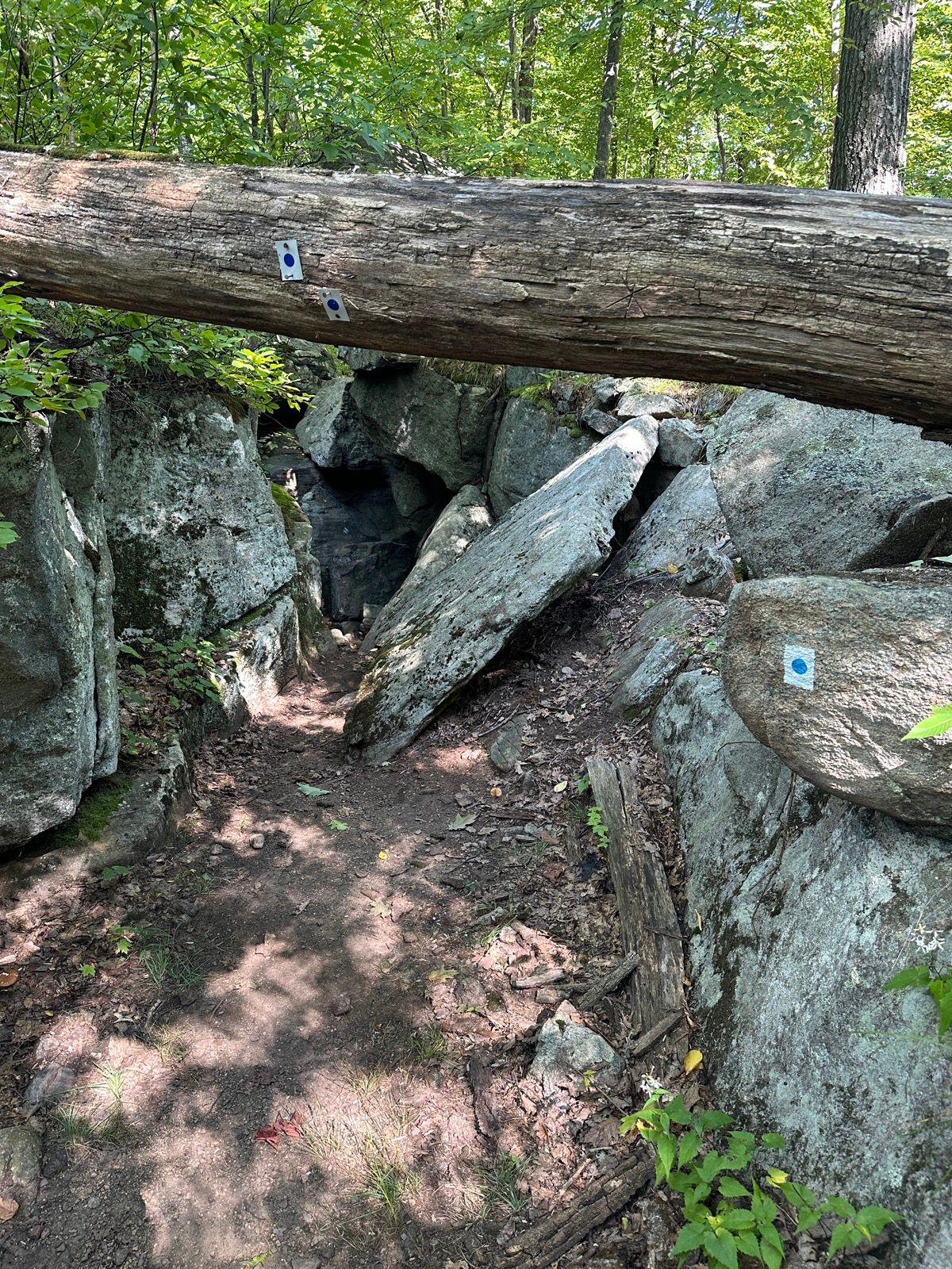 Race recon 1, photo 2