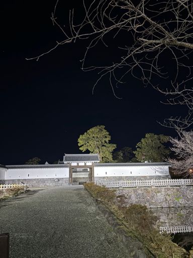 小田原城。嵐の前の静けさ。