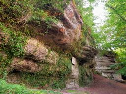 La saison des brimbelles commence ????