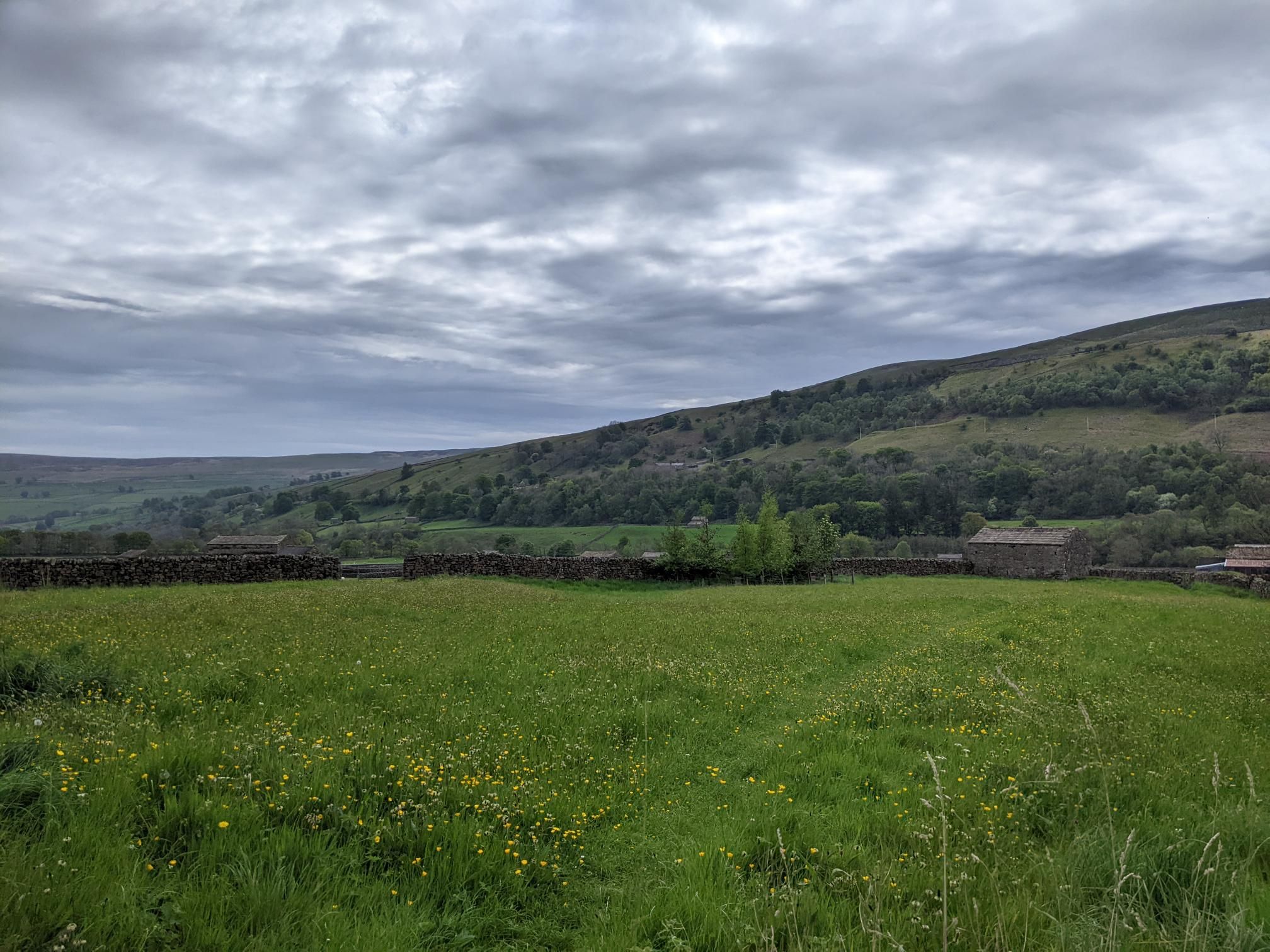 Herriot Way day 3 photo 11