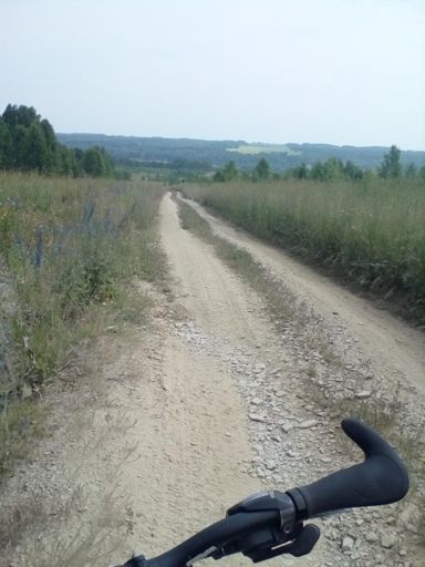 Впереди либо поле/брод/заросшая тропа. Но спуск зачётный, как и слепни