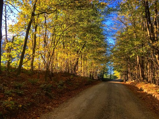 Golden hour 🍂🙌🏻