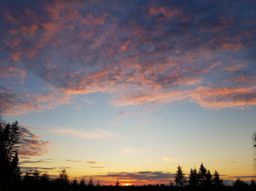 Lamproy, Grand Rougimont, Grand retour