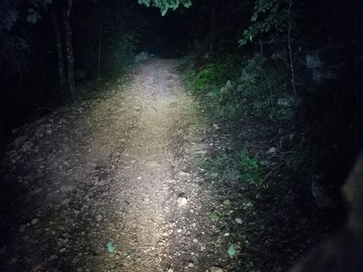 30% hike a bike up muddy rocks up the gate 7 wall.