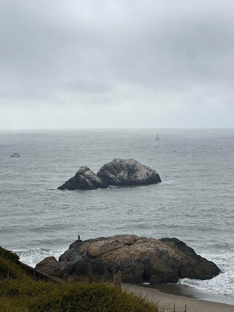 Butterlap (Presidio & Golden Gate Park)的照片 133