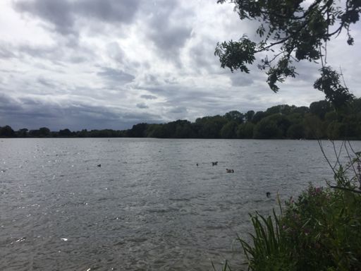 Rickmansworth Aquadrome