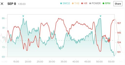 SMO2 - Muscle oxygenation level