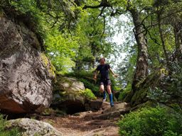 Balade dans l’Ormont