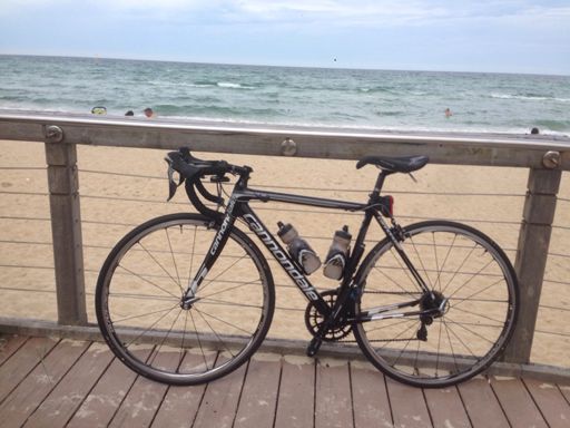 A visit to the beach at Edithvale