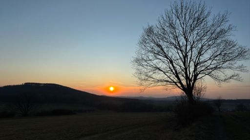 Von Cirrus-Wolken hat die untergehende Sonne um acht Minuten vor um Sechs Gesellschaft bekommen. 🌞☁️