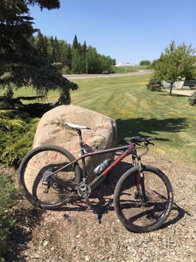 New KMC bling chain from Savy Cycles was on point today