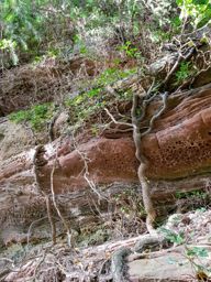 Marche autour de Haselbourg