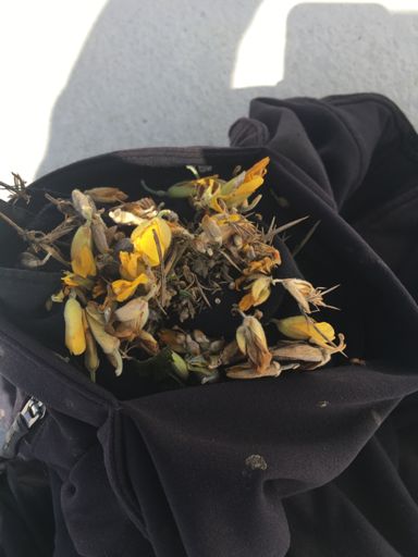 Tiens il en reste un peu dans la poche de ma veste