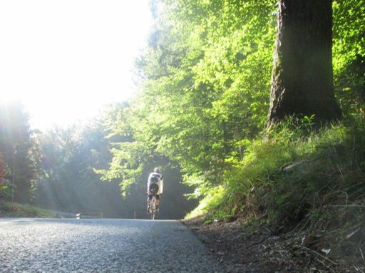 Auf dem Montafon-Radweg.