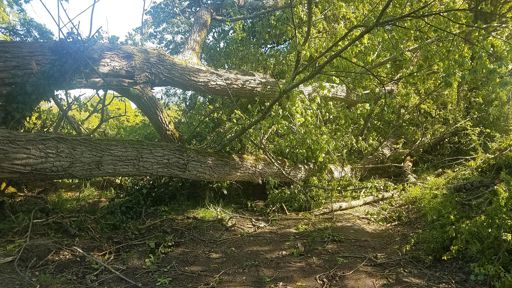 Je crois que ça ne passera pas là...