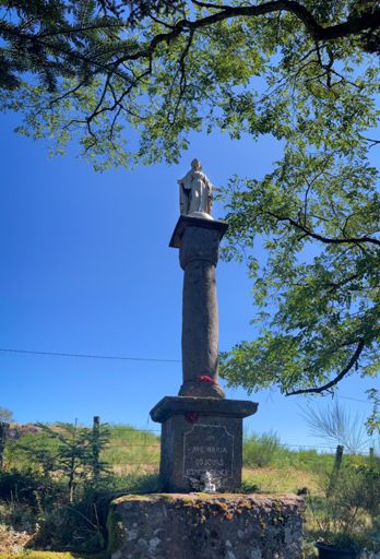 Een maand geleden had ik een foto van een eland op een eiland. Nu zult ge het moeten doen met een beeld van de moeder van de Heiland aan een weiland.