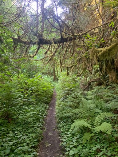 Smile got bigger as the trail got narrower.