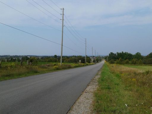The Escarpment looms in the distance