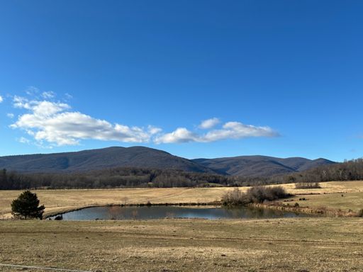 My Beautiful Blue Ridges 