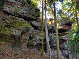 Balade photos à St Quirin