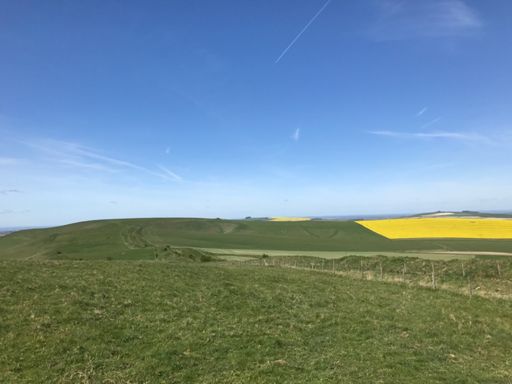 In between tan and milk hill