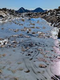 Tête de l’Estrop depuis la Foux d’Allos