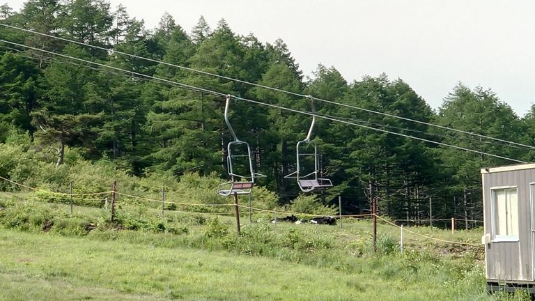 ん!?　牛がいるぞ!　ということは...🤔