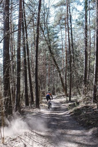 Foto- Rytis Petrauskas