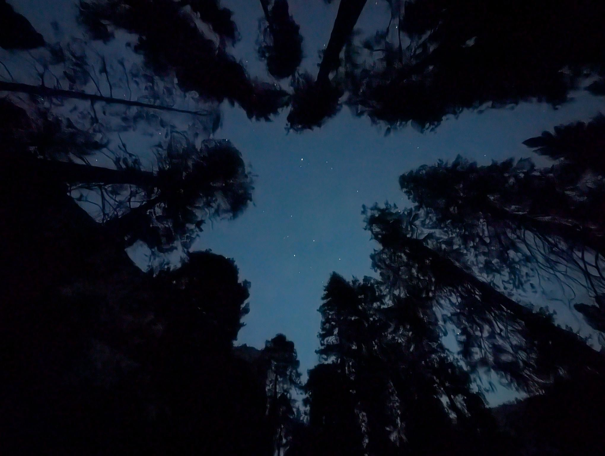 JMT - Day 15 photo 12