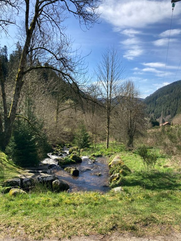 route-highlight