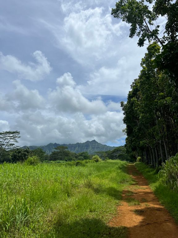 route-highlight
