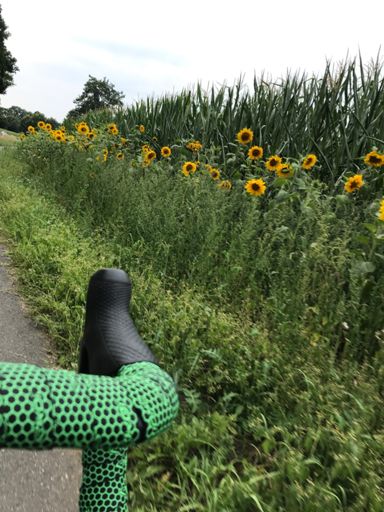 Ja, Lenkerband sieht schon wieder kagge aus🤷‍♂️🙈🤦‍♂️