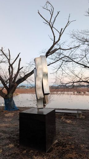 宿の庭は城沼の白鳥飛来地