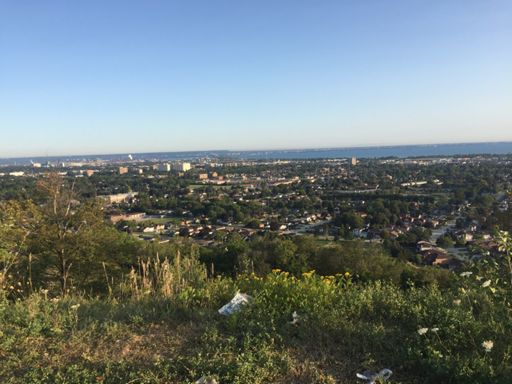View from the top of New Mountain Rd.