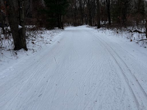 But instead of a 3-hour drive to Grayling, we take what we’re given. 