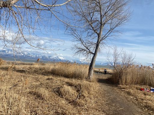 Saratoga hot springs