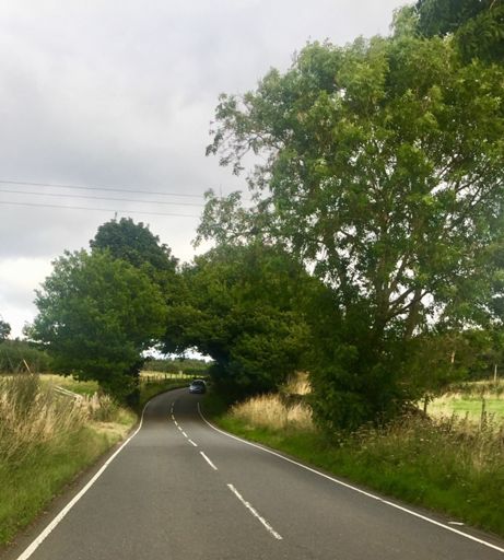 I’m in Sheffield for a few nights, for a family wedding, and I was able to sneak the bike into the back of the car.

I headed out for just over 20miles this evening, after we had checked in at the hotel, and I have now come to the conclusion that Sheffield is really hilly and I’m also really lucky to live in Carlisle; it is so much easier to get out of the city when compared to Sheffield.

I’ll be making use of the @100climbs app to hunt out the best climbs in the area, the @Strava routes feature to plot routes from the hotel and the @wahoofitnessofficial to direct me whilst on the road.

I plan an early start tomorrow, before the hotel starts serving breakfast, to get out into the Peak District.
.
.
.
.
#FamilyWedding #Sheffield #Carlisle #Yorkshire #CyclingClimbs #Hills #MiniBreak #PeakDistrict #NationalPark #JenkinRoad @lussobike #BrandAmbassador #MadeInManchester #CyclingKit #RideWithStyle #OutsideIsFree #ActiveTravel #FromWhereIRide #RoadsLikeThese #RideBikes #LanesNotLaps #LifeBehindBars #CyclingLife #BikeIsBest #CyclingAddict #CyclistsOfInstagram #BeardedCyclist @wahoofitnessofficial #Wahooligan #CyclingSelfie #SelfieGameStrong @swfcofficial #SheffieldWednesday