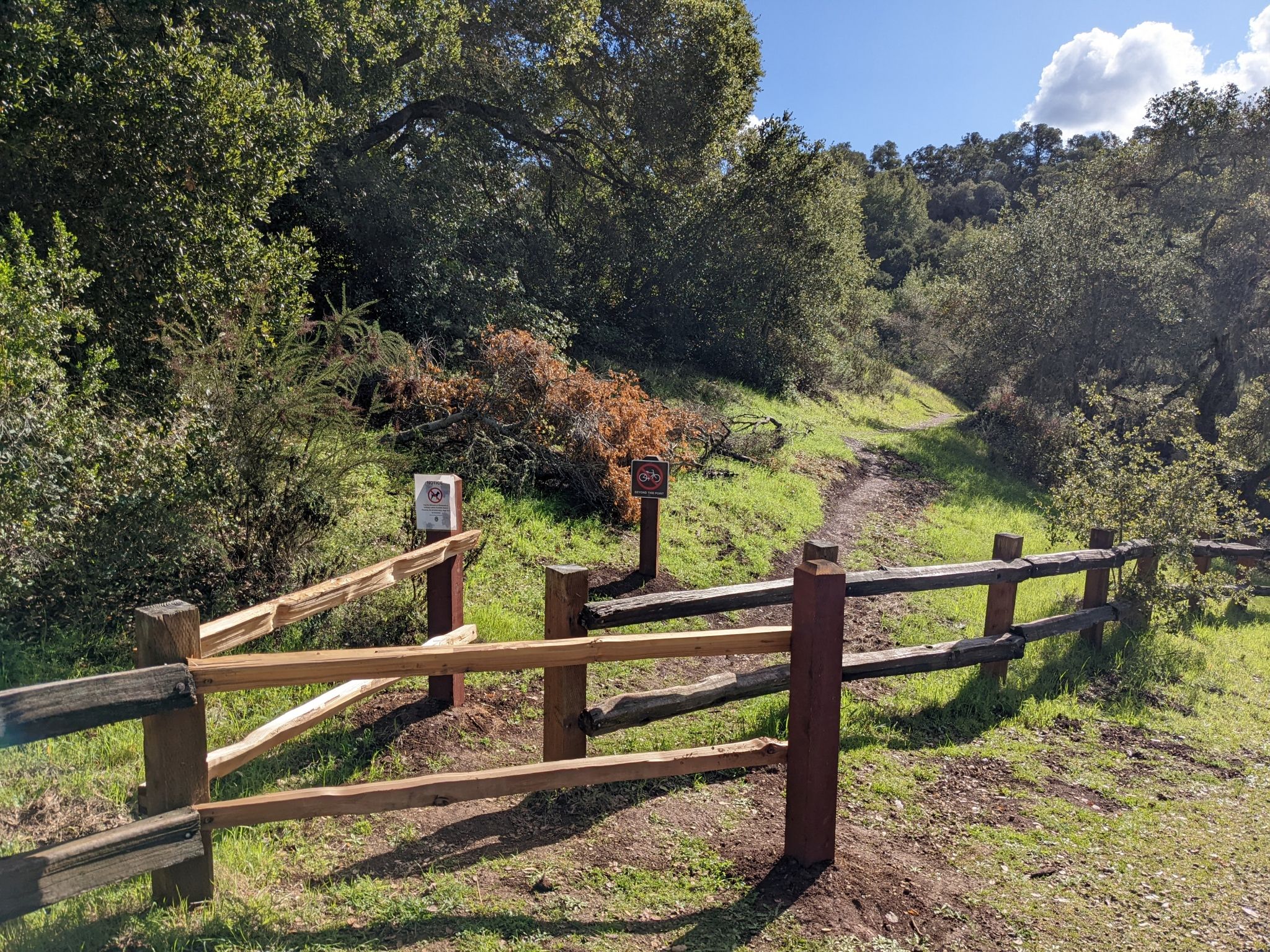 Last year they took the "No Bikes" signs off of the gate between Arastradero and Foothills Park. Now they have legitimized this nearby hiker short-cut from Arastradero to Foothills Park's Coyote Trail. 👍 
