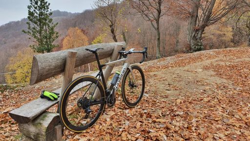 www.strava.com
