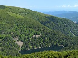 Crapahutage matinal dans les hautes vosges