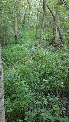 If you find yourself In here....your an idiot