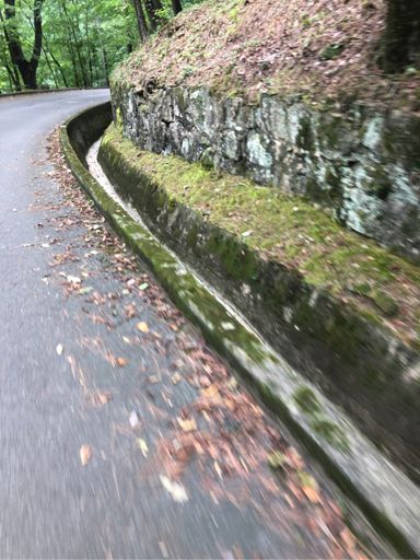 Alabama knows how to build roads that can handle a LOT of water, which is good b/c we get a LOT of rain - third rainiest city in the country behind Miami and New Orleans.